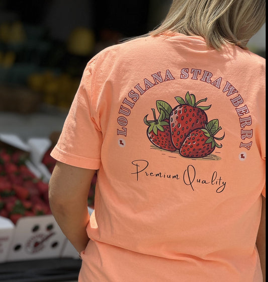 AV&Co. Louisiana Strawberries Premium Quality T-shirt